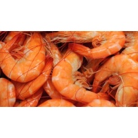 boiled-louisiana-shrimp-400x220_c