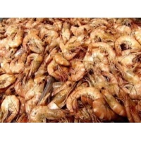 frozen-louisiana-shrimp-400x299_c