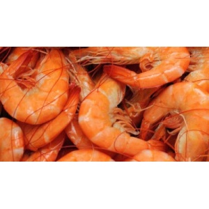 boiled-louisiana-shrimp-400x220_c