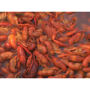 louisiana-boiled-crawfish-400x297_c